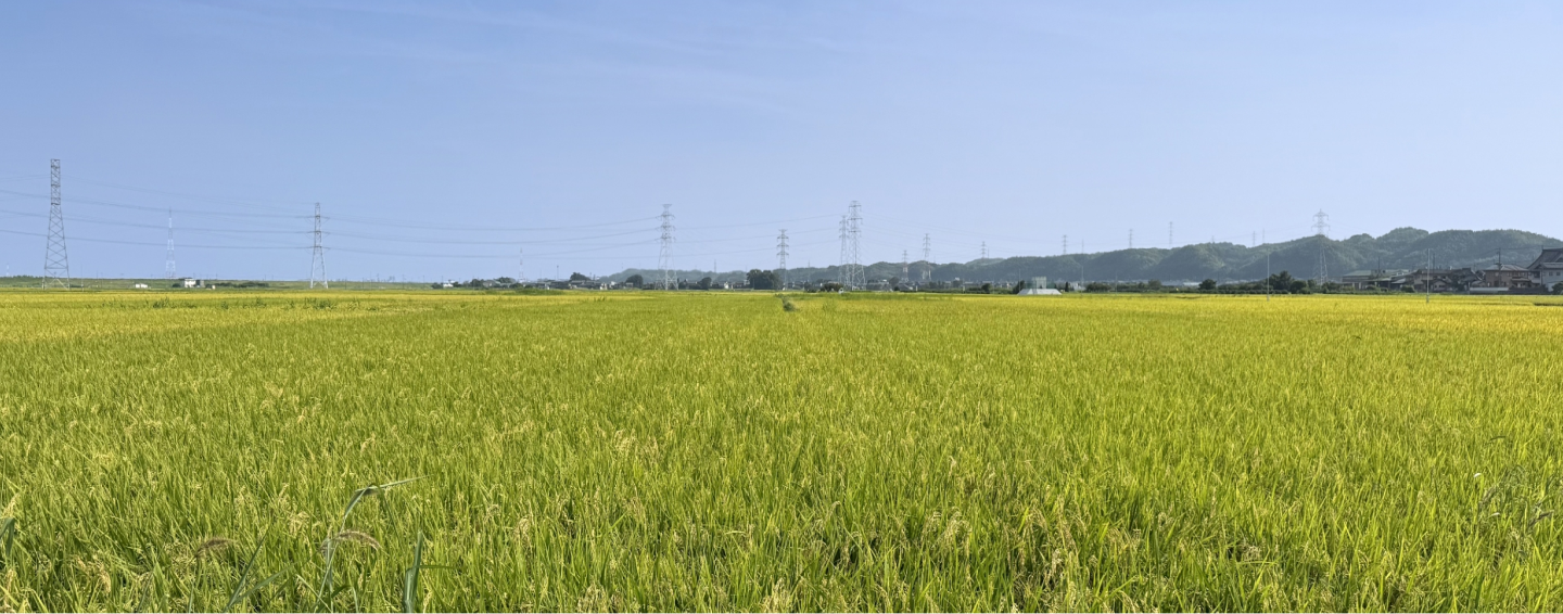 多度の田園風景